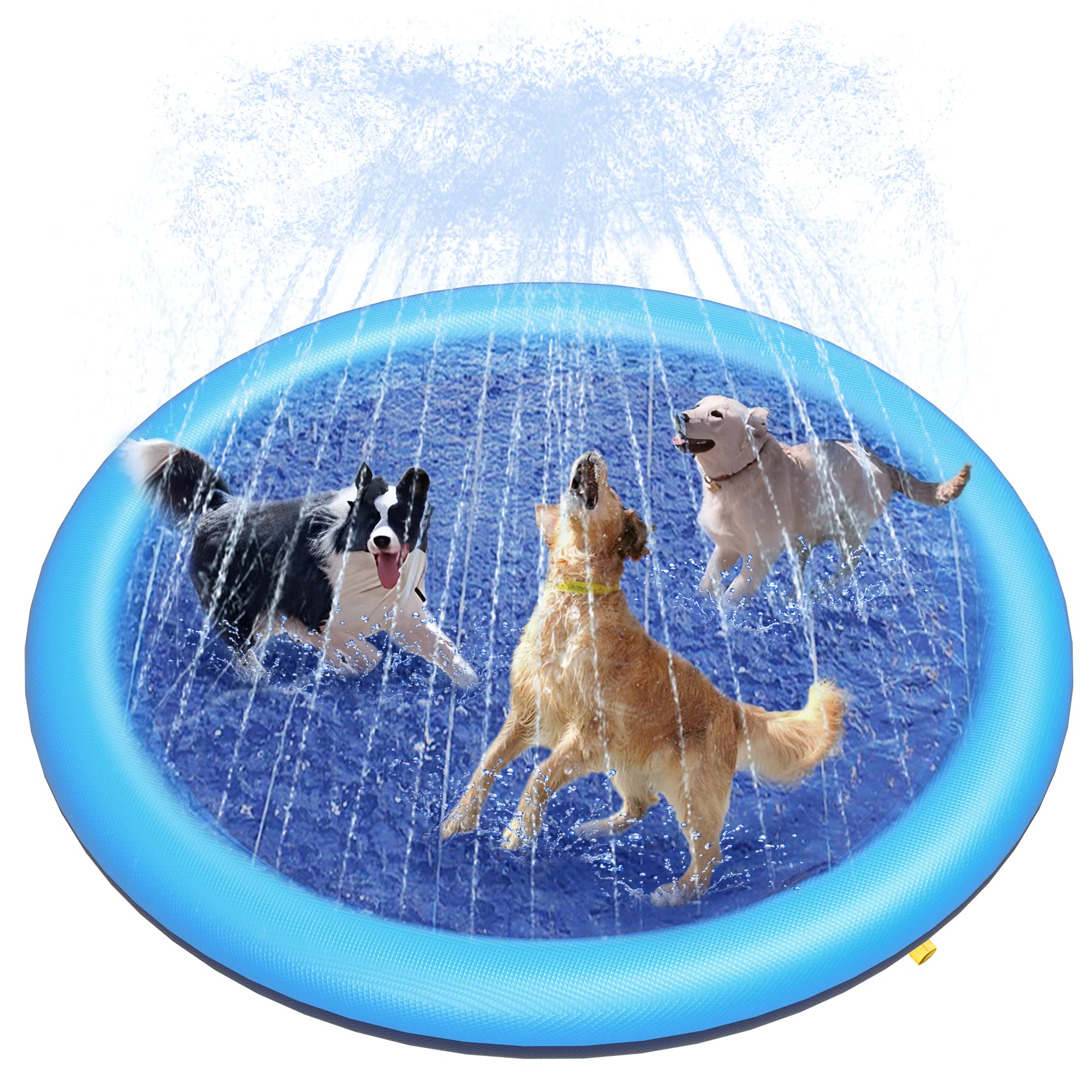 Slip Slide Water Mat - Tapis de jeu aquatique pour chien,