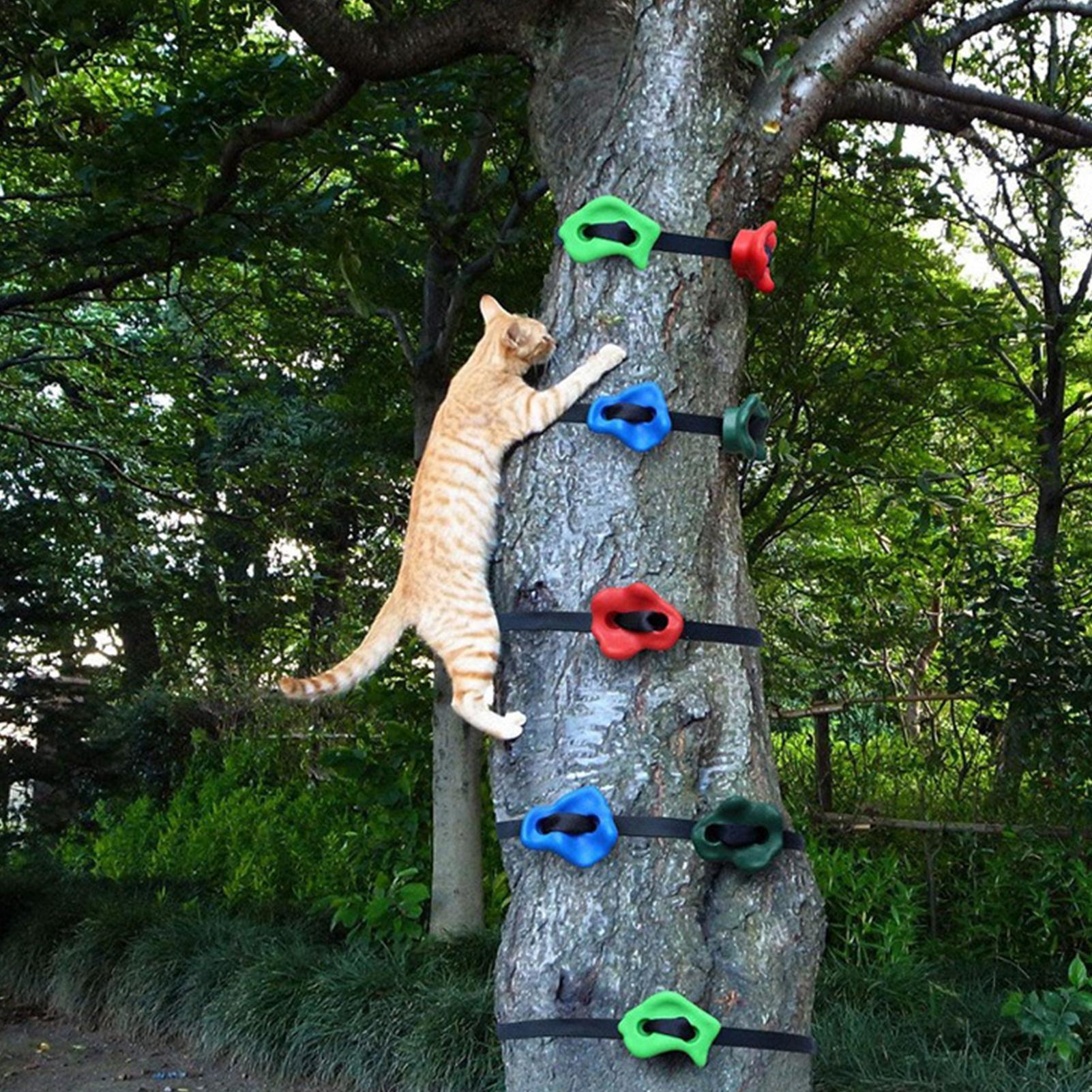 Équipement d'entraînement d'ob - Kids Outdoor Obstacle Course Equipment avis et prix