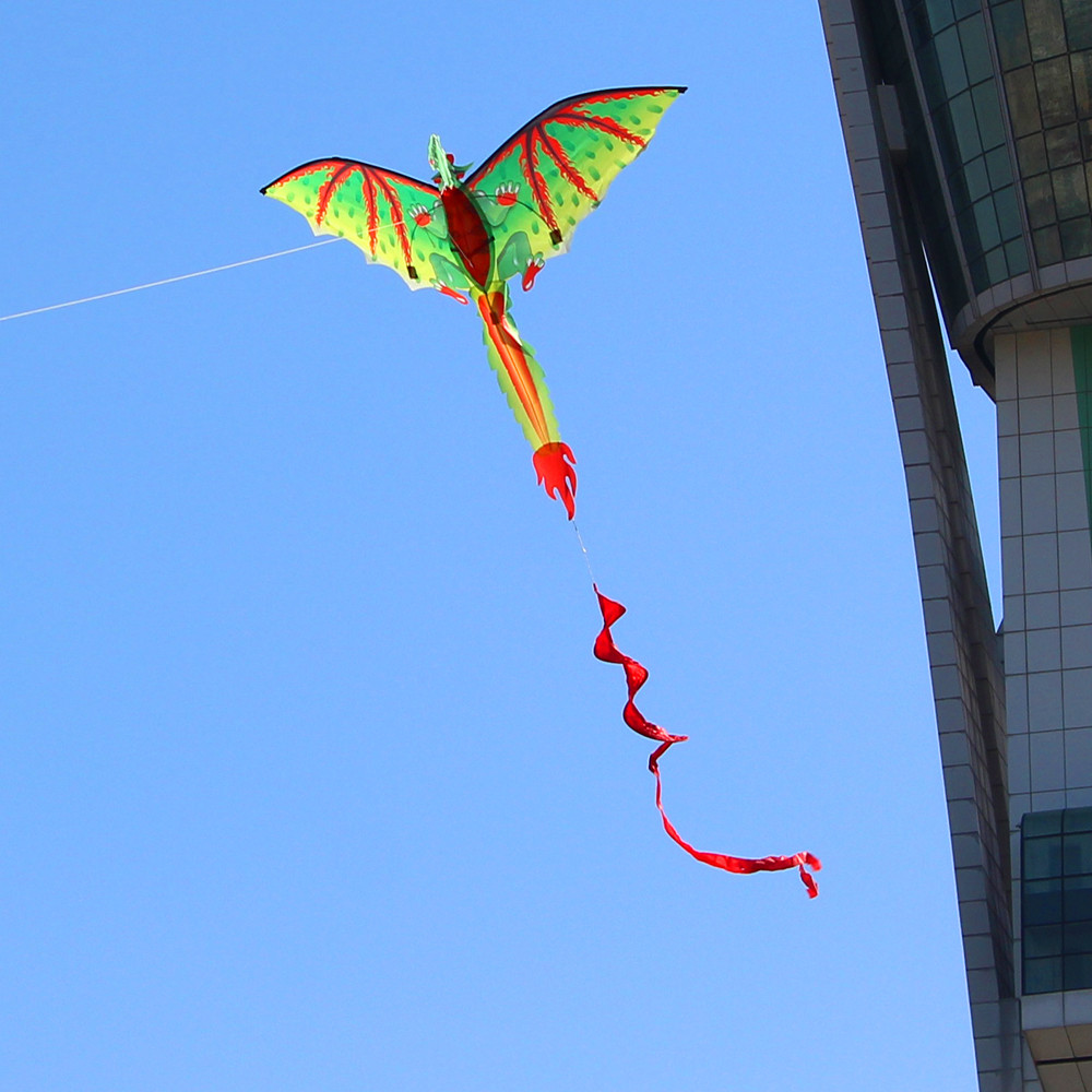 Cerf-volant 3D D-Ragon K-ite p - Kids Unique Outdoor Toys avis et prix