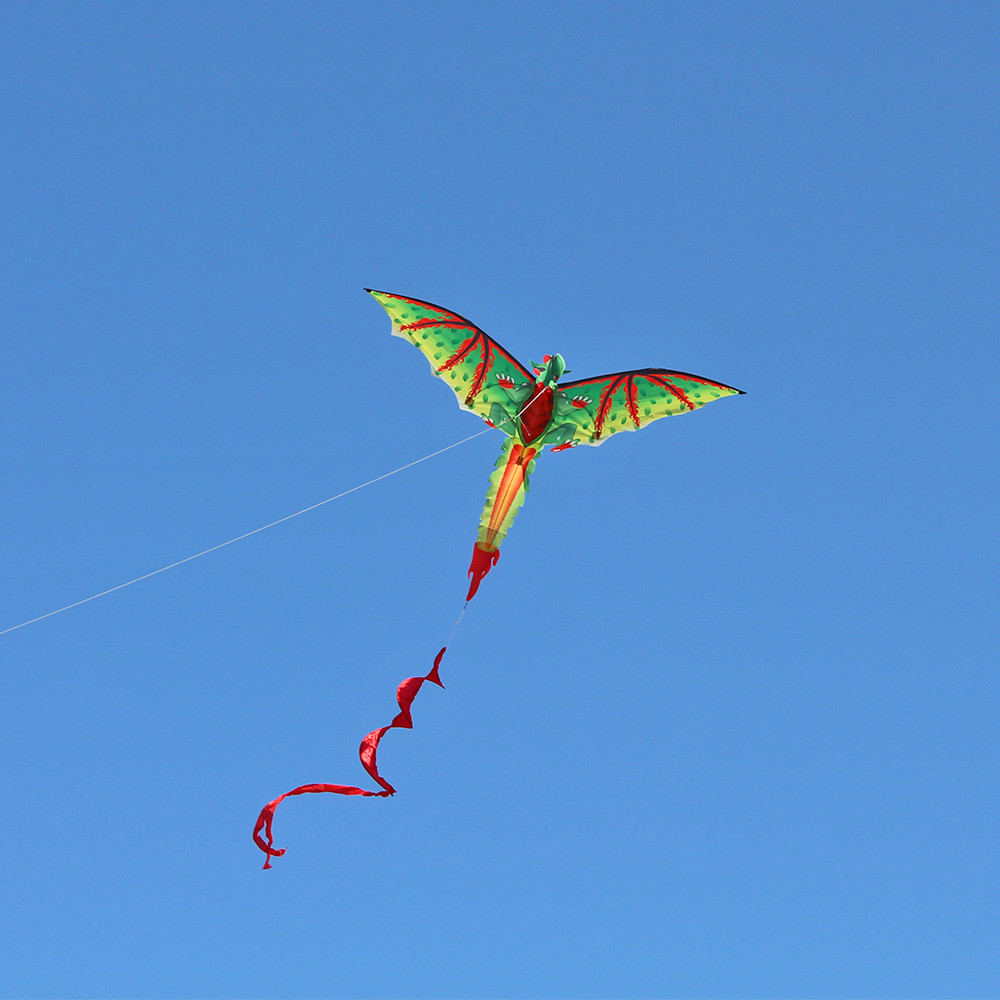 Cerf-volant 3D D-Ragon K-ite p - Kids Unique Outdoor Toys avis et prix