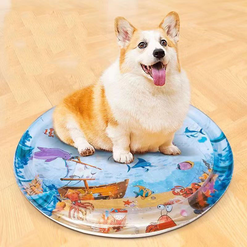Tapis de jeu sensoriel d'eau t - Slip Slide Water Mat avis et prix